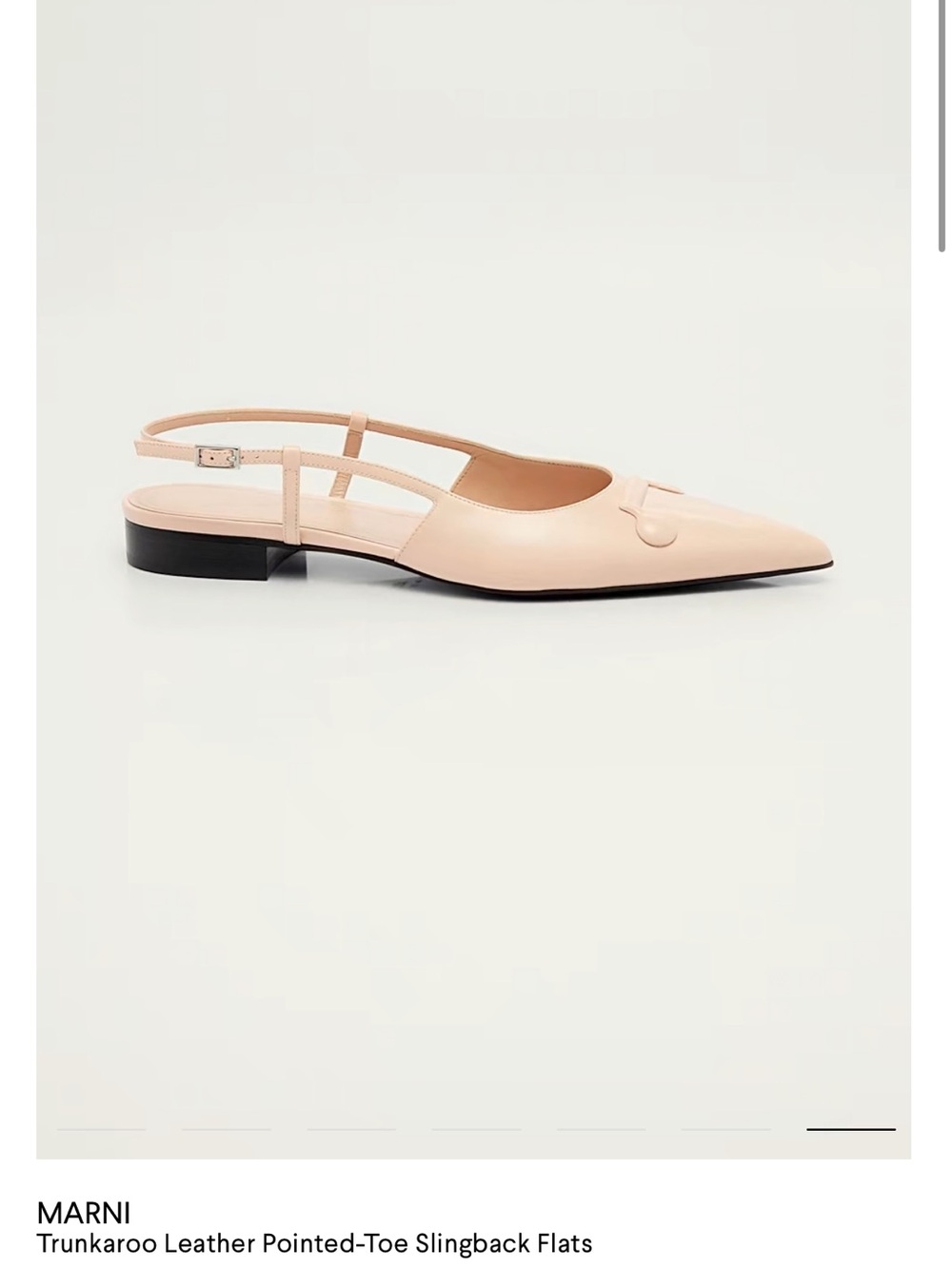 Marni Pointed-Toe Slingback Flats